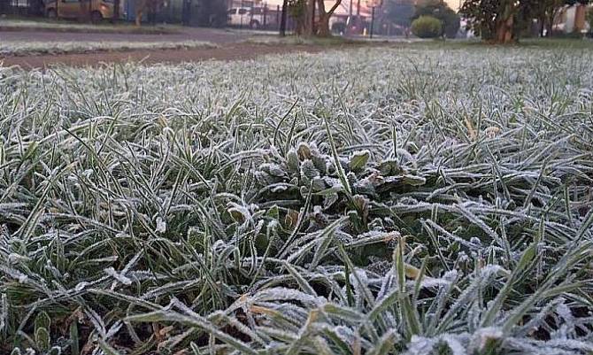 Se declara Alerta Temprana Preventiva para la Región de Los Ríos por heladas
