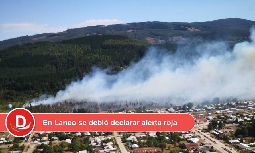 Conaf y bomberos de Los Ríos debieron luchar contra cuatro  incendios forestales