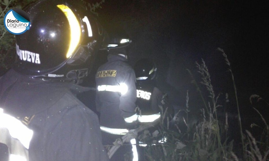 Alarma de bomberos por incendio de pastizales en sector Las Lajas 