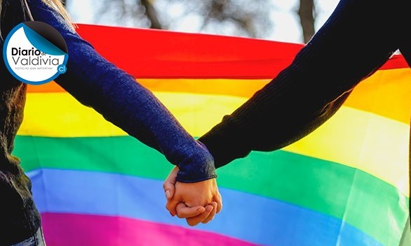 Denuncias por homofobia y transfobia bajan en Los Ríos pero suben en Chile, según estudio