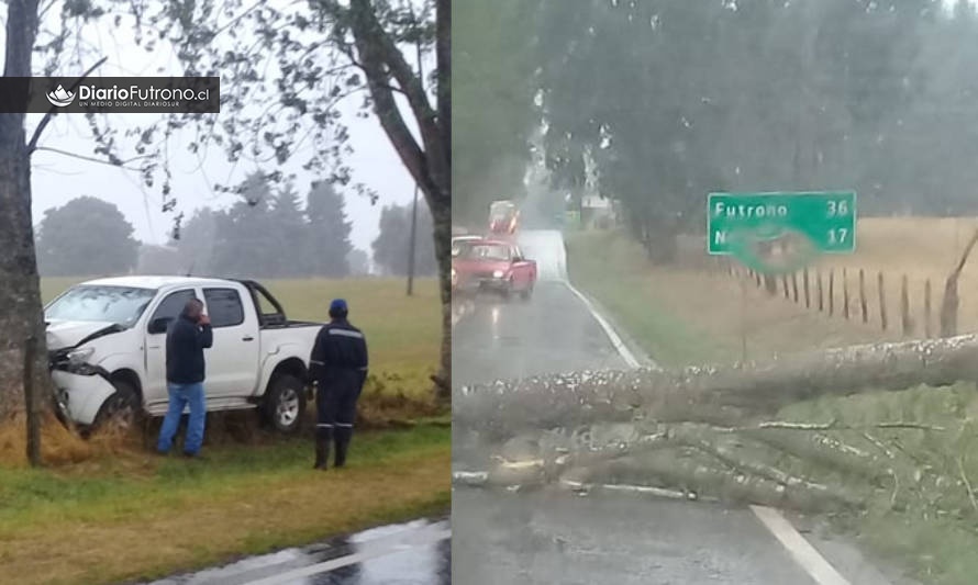 Camioneta chocó con árbol tras esquivar uno que obstruía ruta Reumén-Nontuelá-Futrono