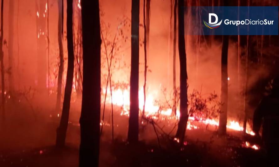 Incendio de pastizales movilizó a bomberos de Los Lagos y Nontuelá