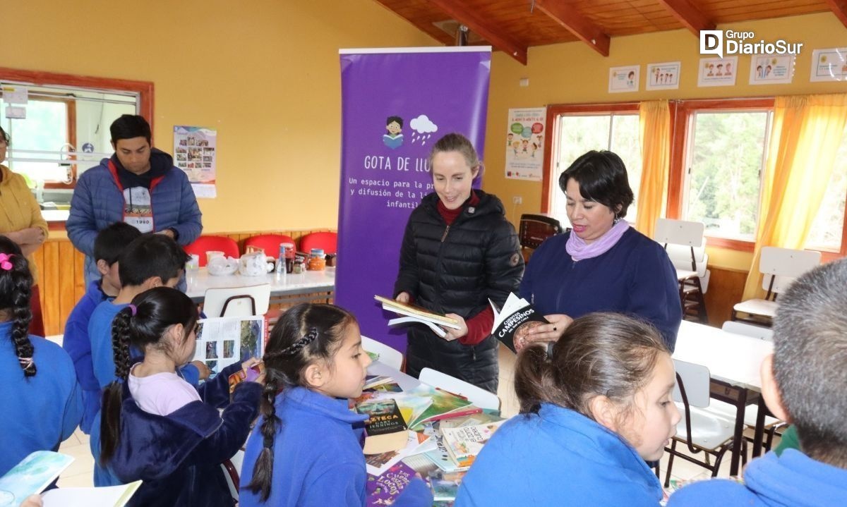 Organizaciones valdivianas reúnen libros infantiles para víctimas de los incendios