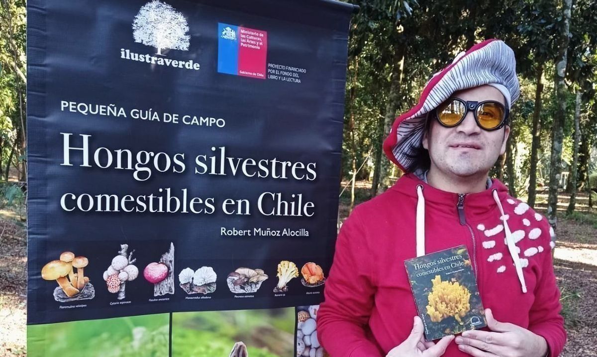 Tras éxito nacional de primer libro, valdiviano lanzará guía sobre hongos comestibles 