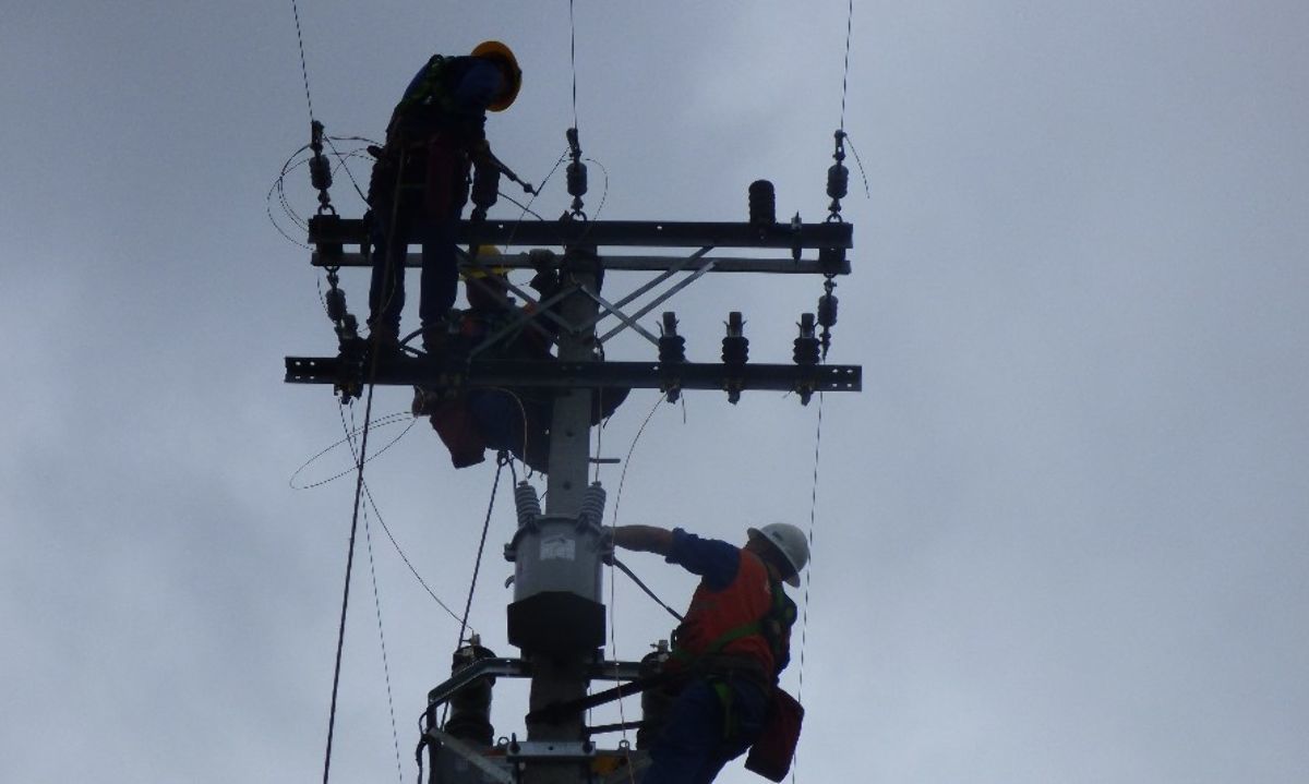 Socoepa informa suspensión de suministro eléctrico en sector rural de Los Lagos